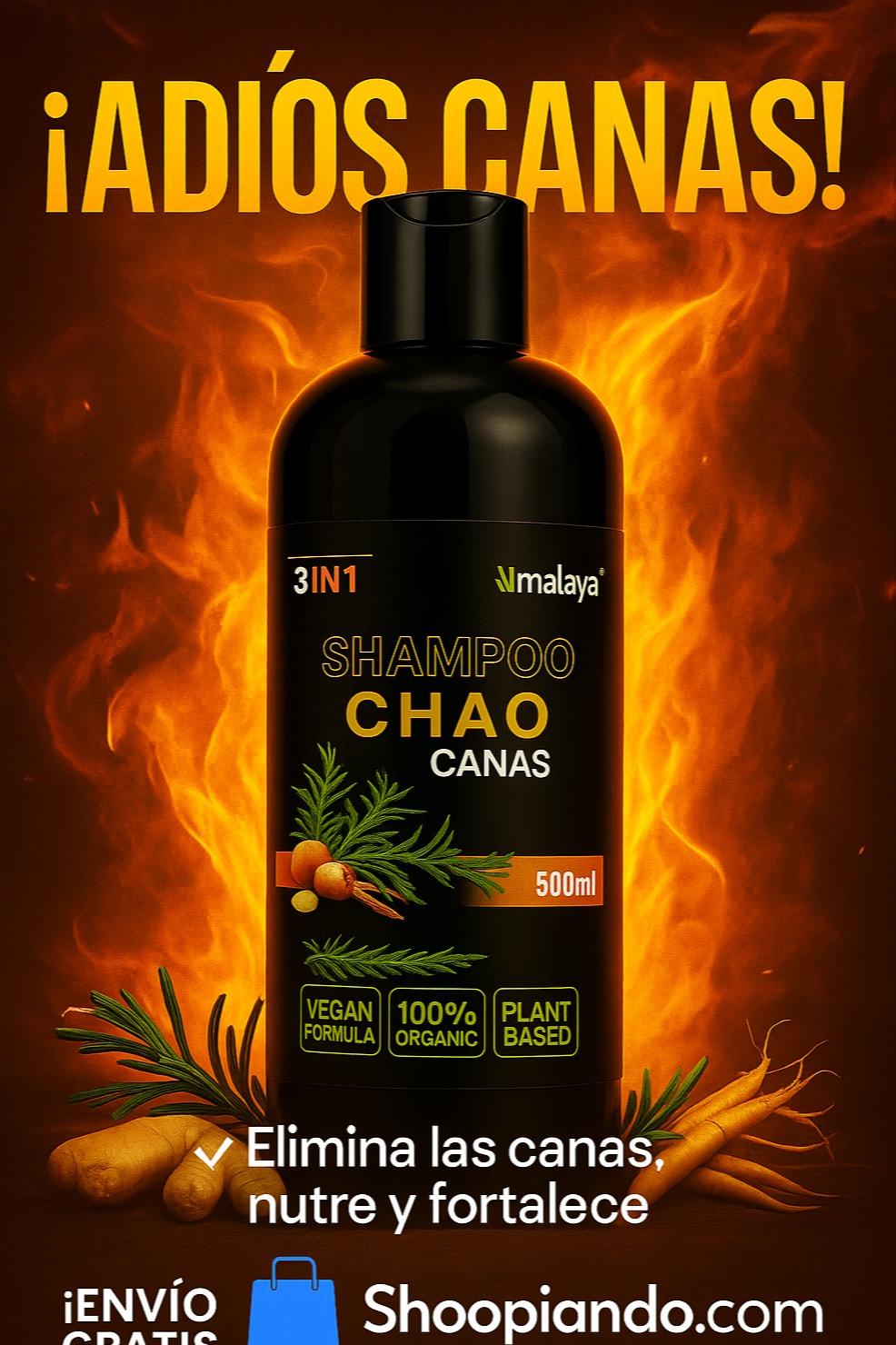 SHAMPOO CHAO CANAS + TRATAMIENTO